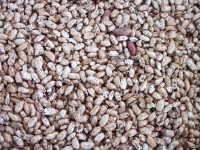 糙米花生芝麻米香