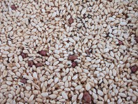 白米花生芝麻米香